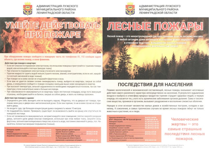 Изображение 0